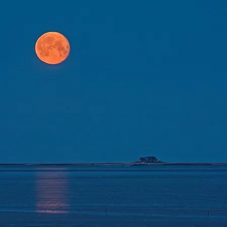 Apartment Am Aussendeich 1 *