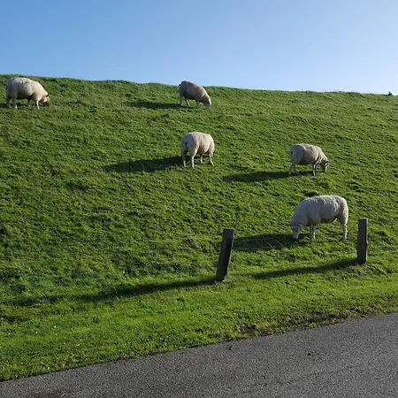 Am Aussendeich 1 Nordstrand